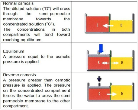 Reverse Osmosis System