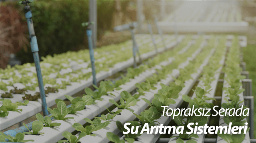 Topraksız Serada Su Arıtma Sistemleri Topraksız Serada Su Arıtma Sistemleri.